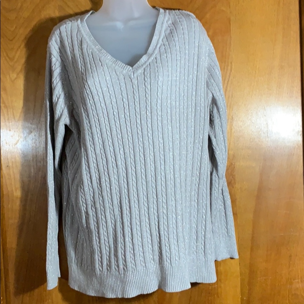 Laura Scott sweater size 1X